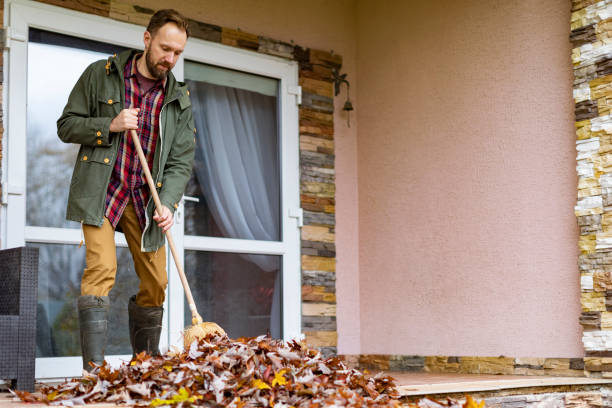Basement Cleanout Services in Edwards, MS